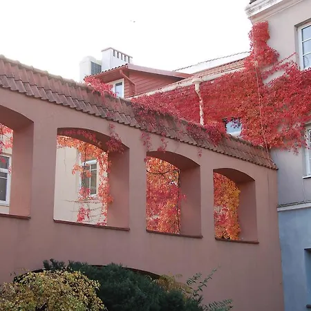 Old Town Quiet And Spacious Studio With Communal Closed Yard فيلنيوس
