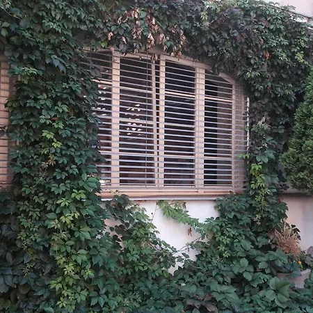 Old Town Quiet And Spacious Studio With Communal Closed Yard * فيلنيوس