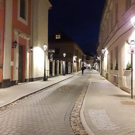 Old Town Quiet And Spacious Studio With Communal Closed Yard * فيلنيوس